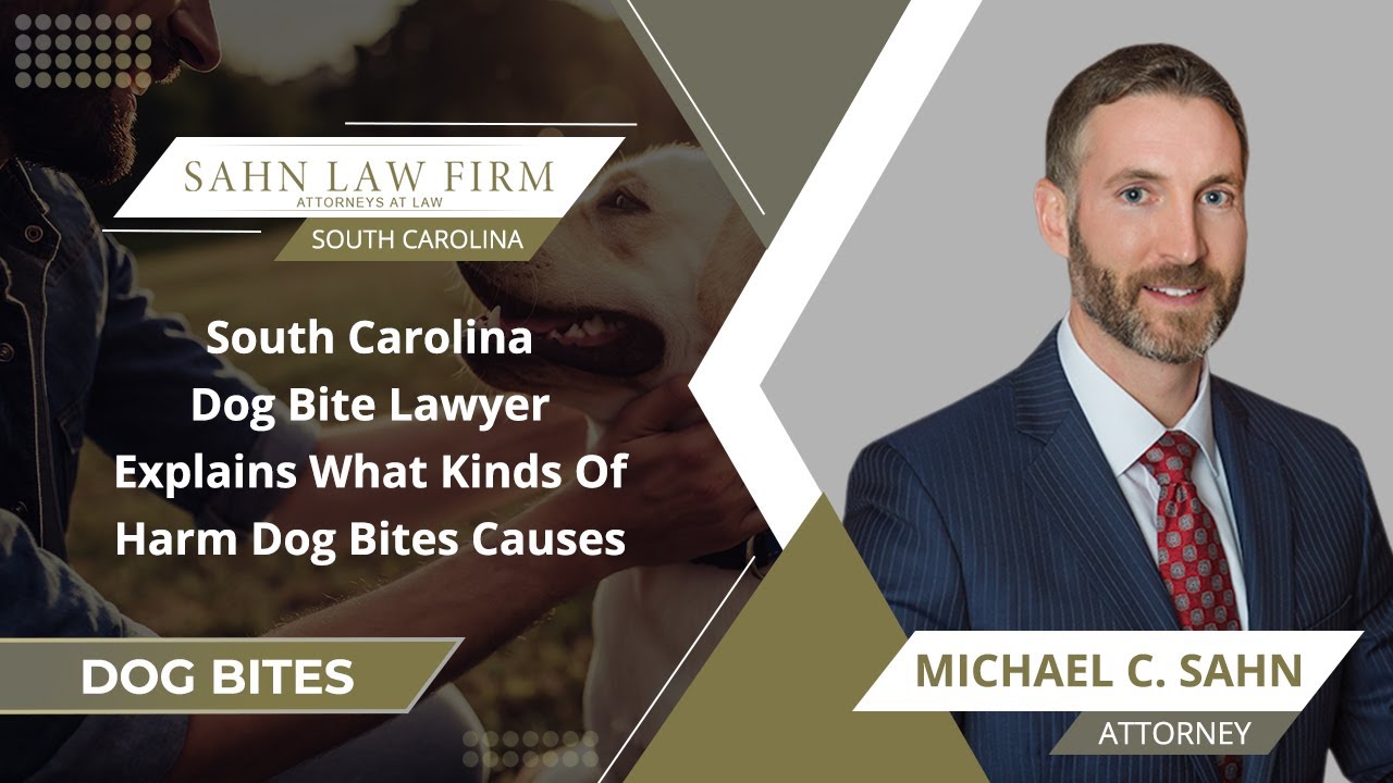 South Carolina Dog Bite Lawyer Explains What Kinds Of Harm Dog Bites Causes