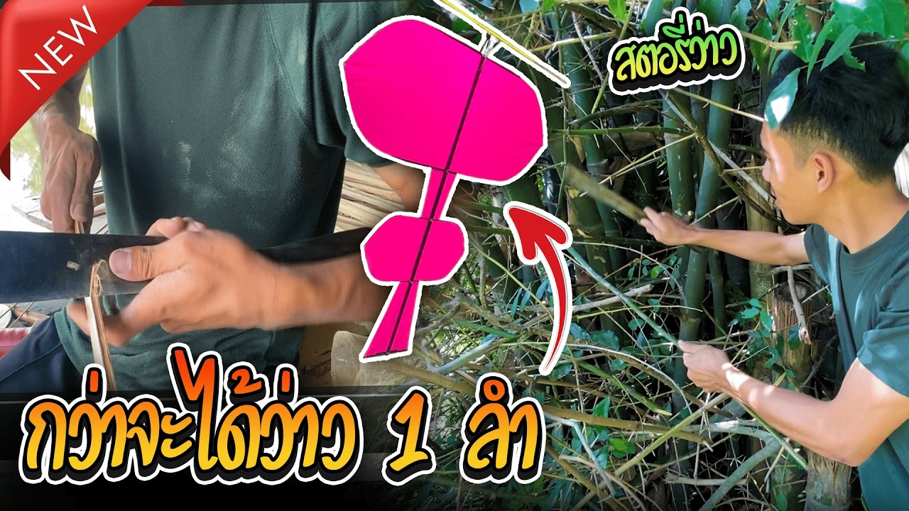 กว่าจะมาเป็นว่าวต้องทำไรบ้าง? #สตอรี่ว่าว