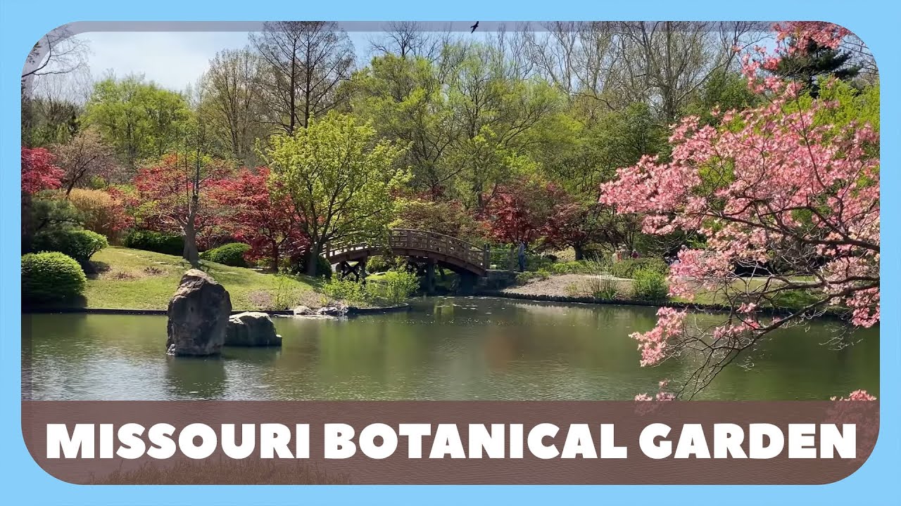 Missouri Botanical Garden Tour 4K - April 2023