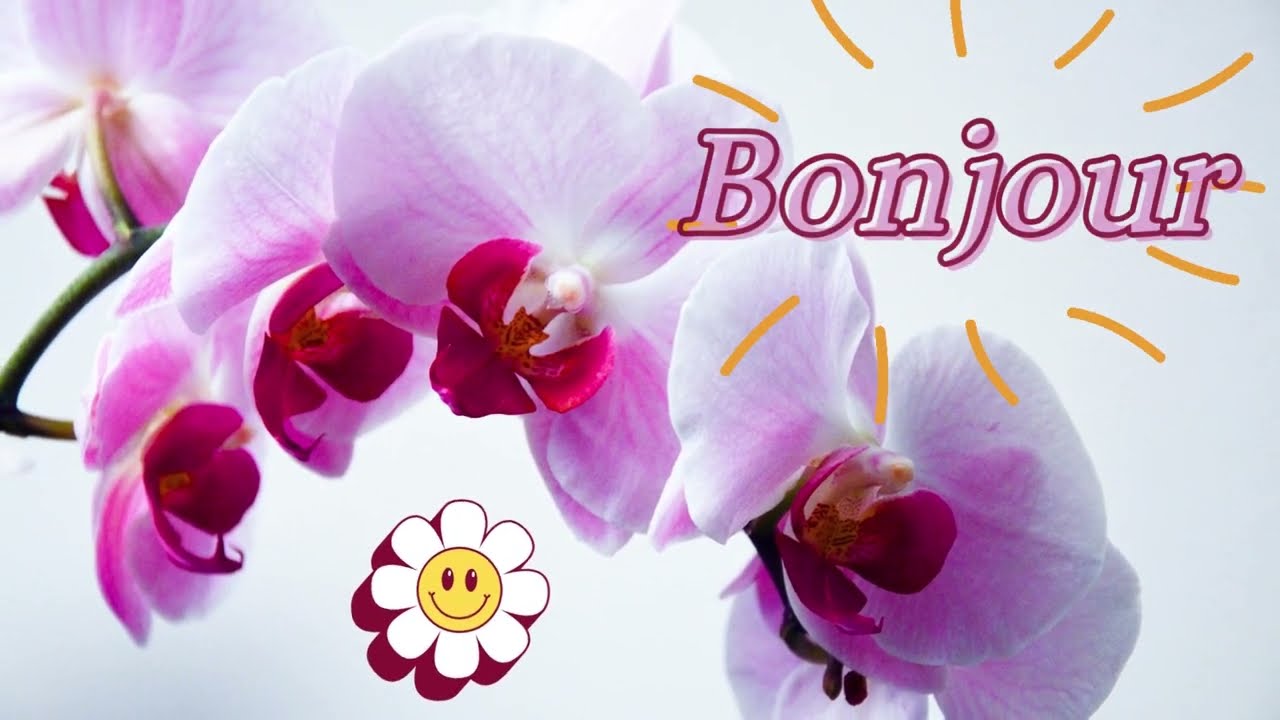 BONJOUR !!! 🌷🌺🌺 Bonne Journée !!!