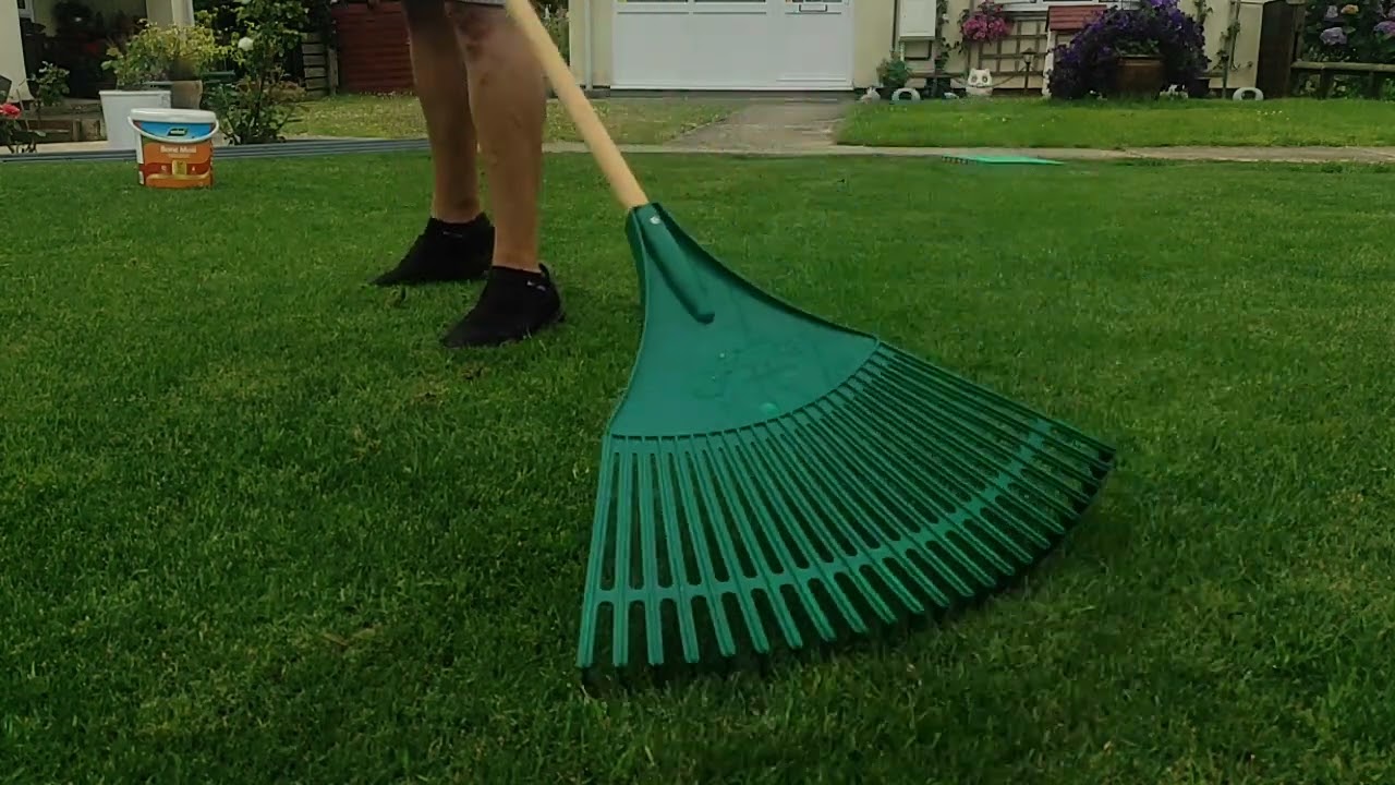 Removing #poa by raking it & pulling out #lawn #lawncare