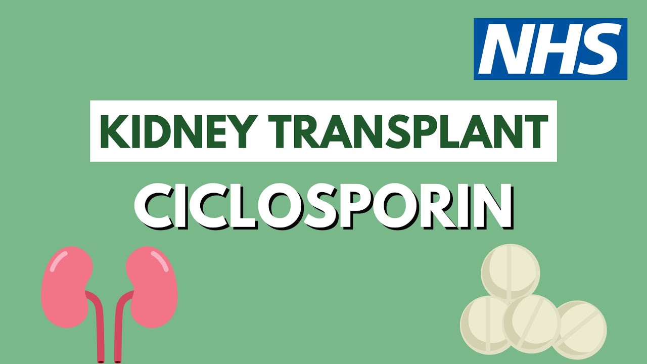 Ciclosporin after a kidney transplant | UHL NHS Trust