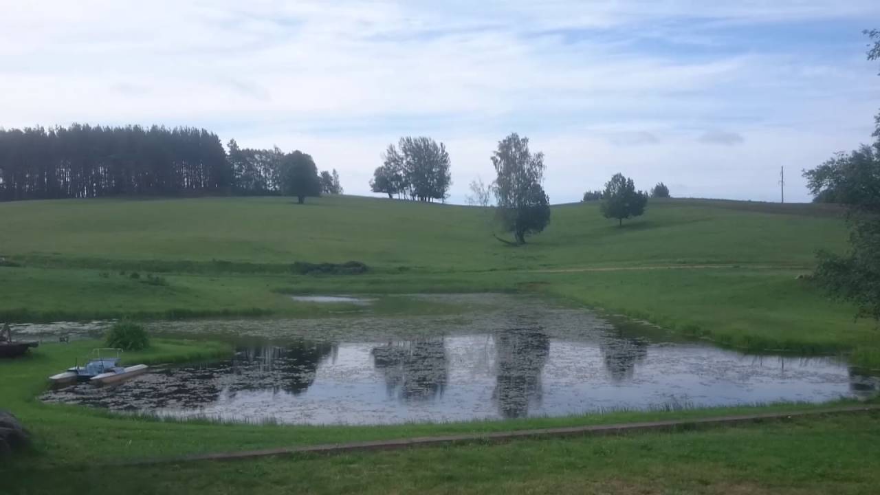 Estonia nature Karula beautiful landscape 60FPS 1080P