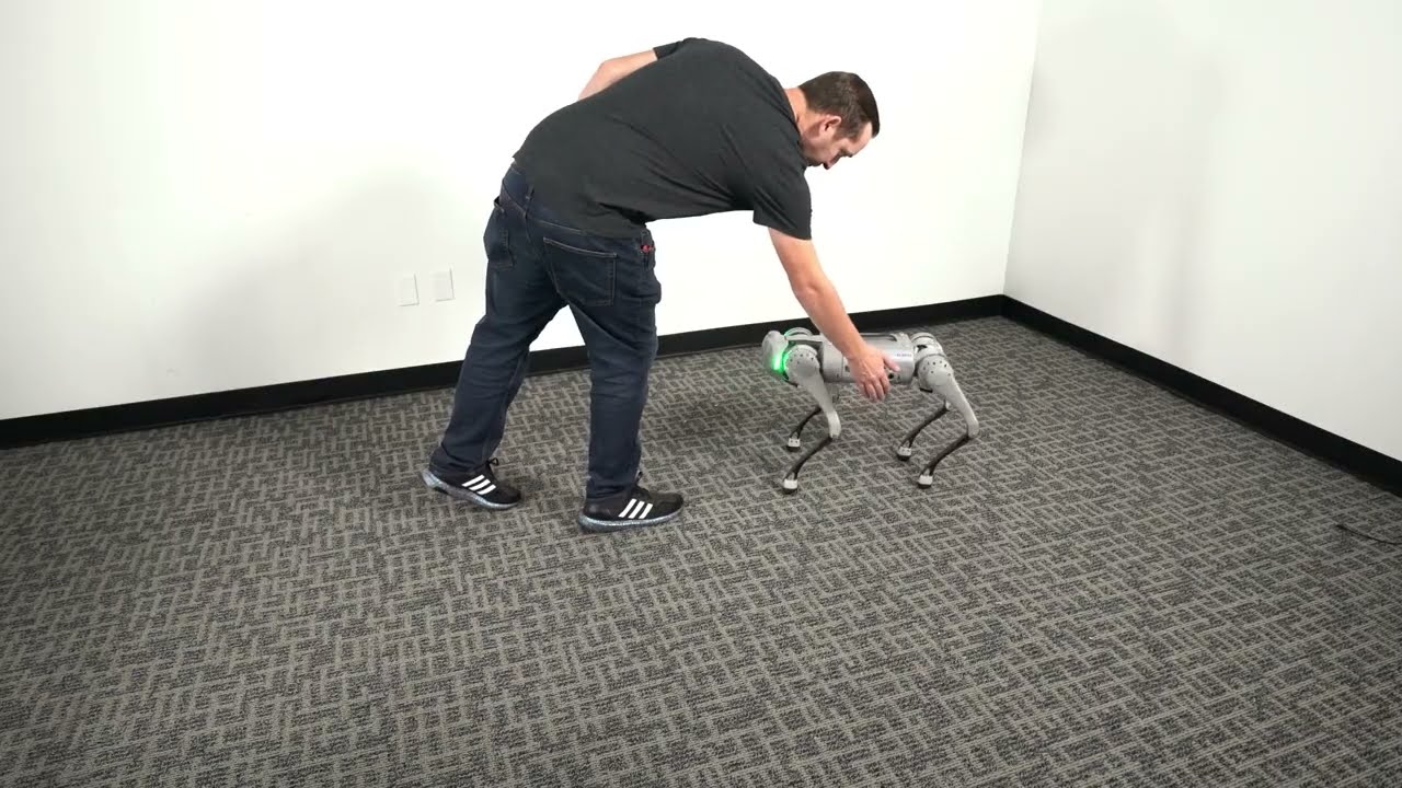 RoboStore | Unitree Go1 Obstacle Avoidance