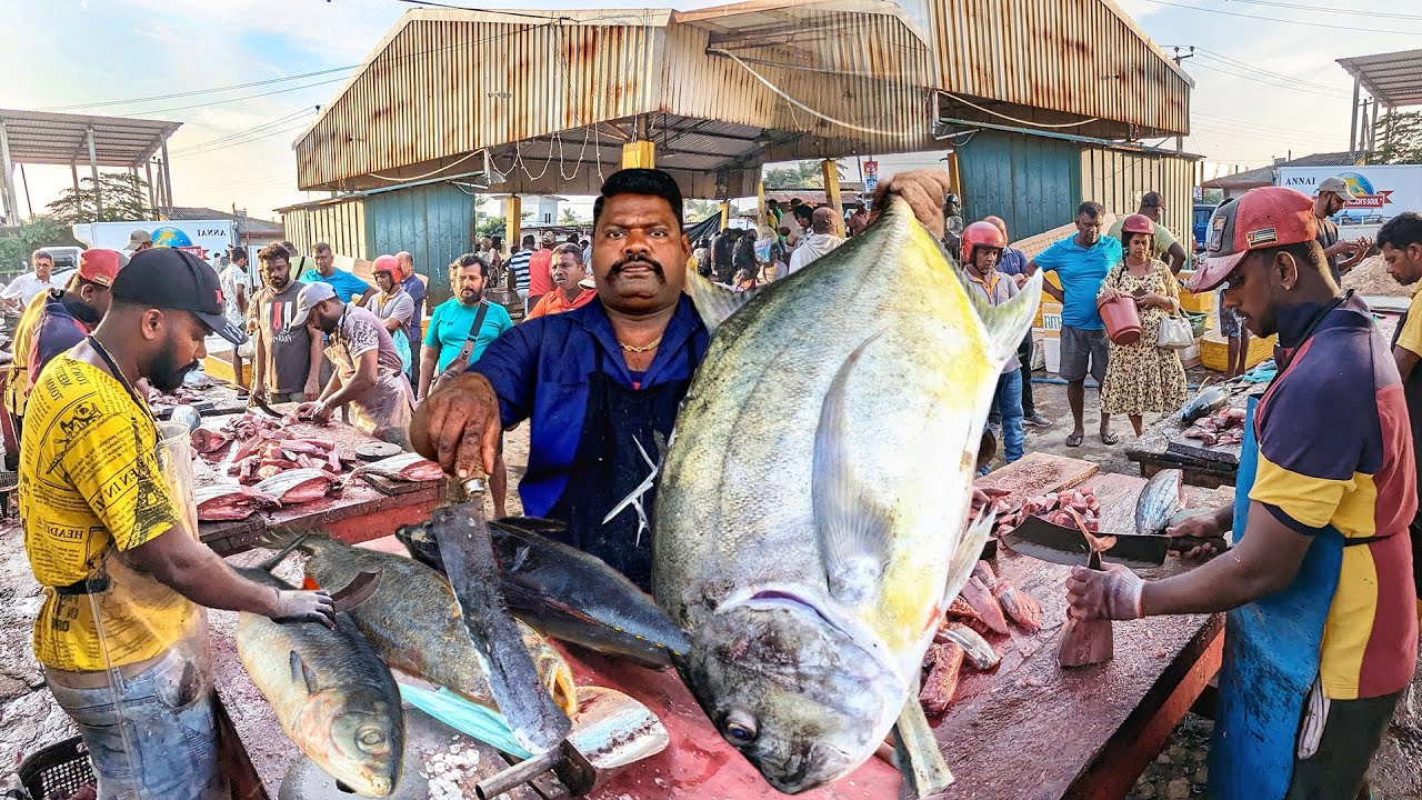 Seaside Fish Market 🌊 Amazing Master Fish Cutting Collection