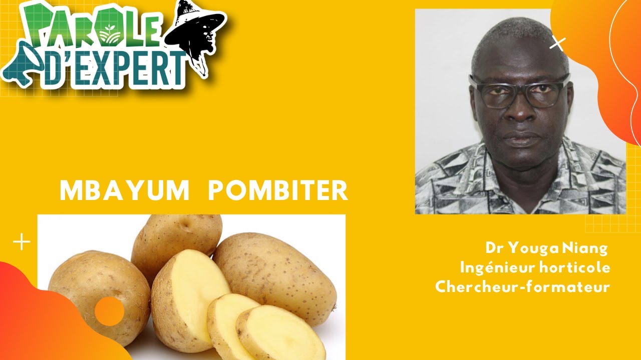 PAROLE D'EXPERT Mbayum Pombiter