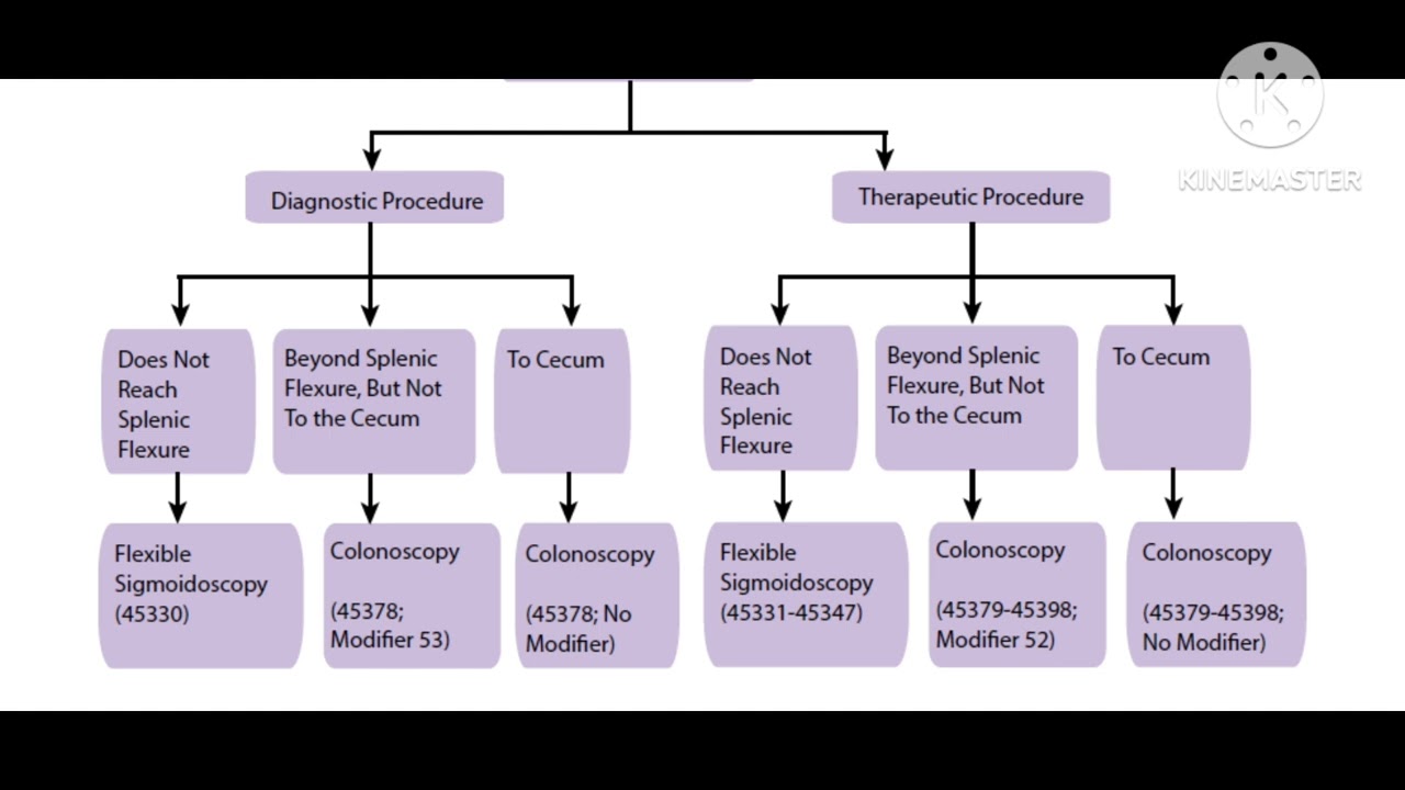 Colonoscopy procedure, Indications & CPT guidelines !