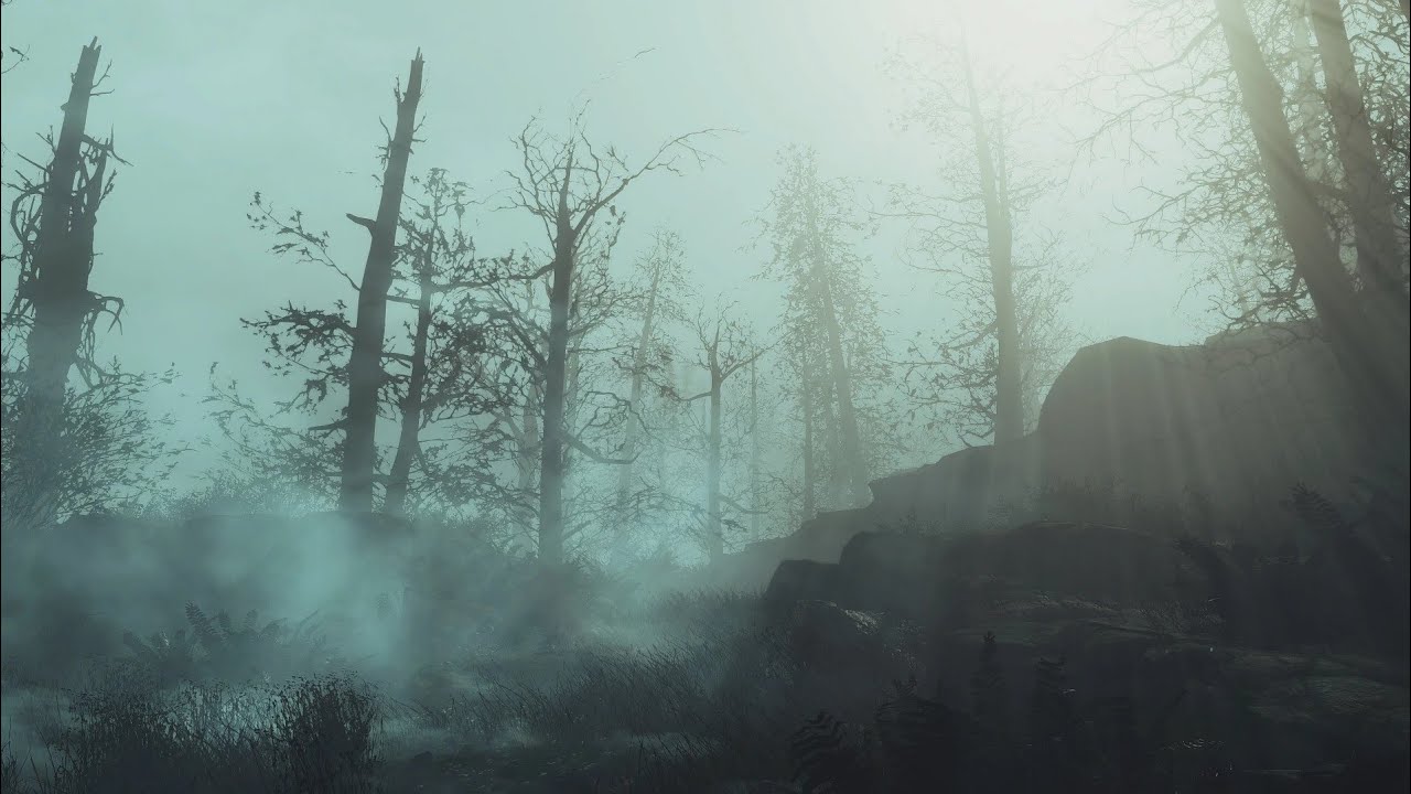 Fallout 4 каньен изобилия #9