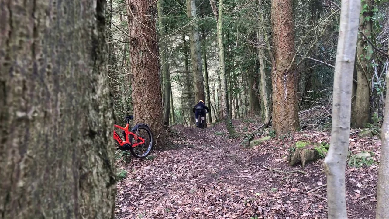 Off Piste, Leigh Woods, Bristol