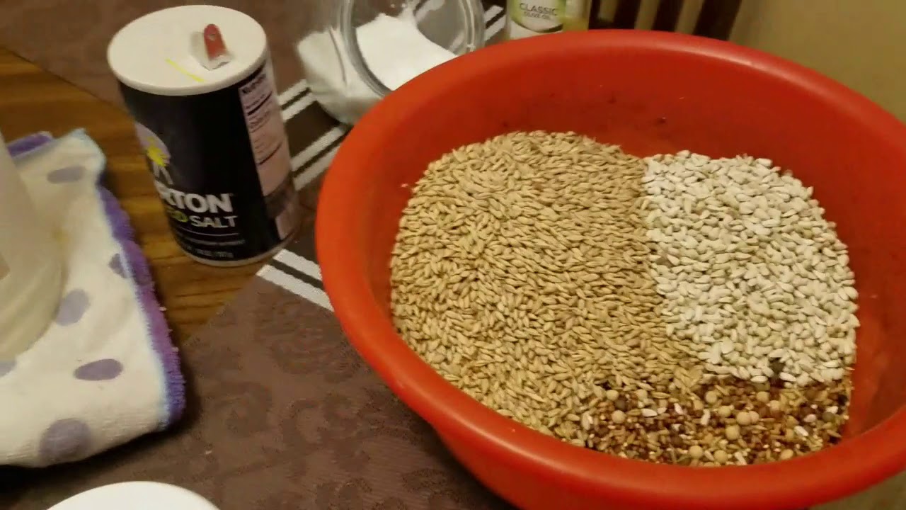 9/02/19 Limpiando en sistema digestivo de las palomas.
