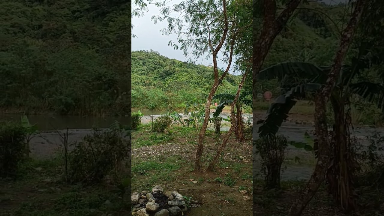 PEACEFUL CAMPSITE #camping #nature #campinglife #mountains #trees #riverside #river #rivercamping