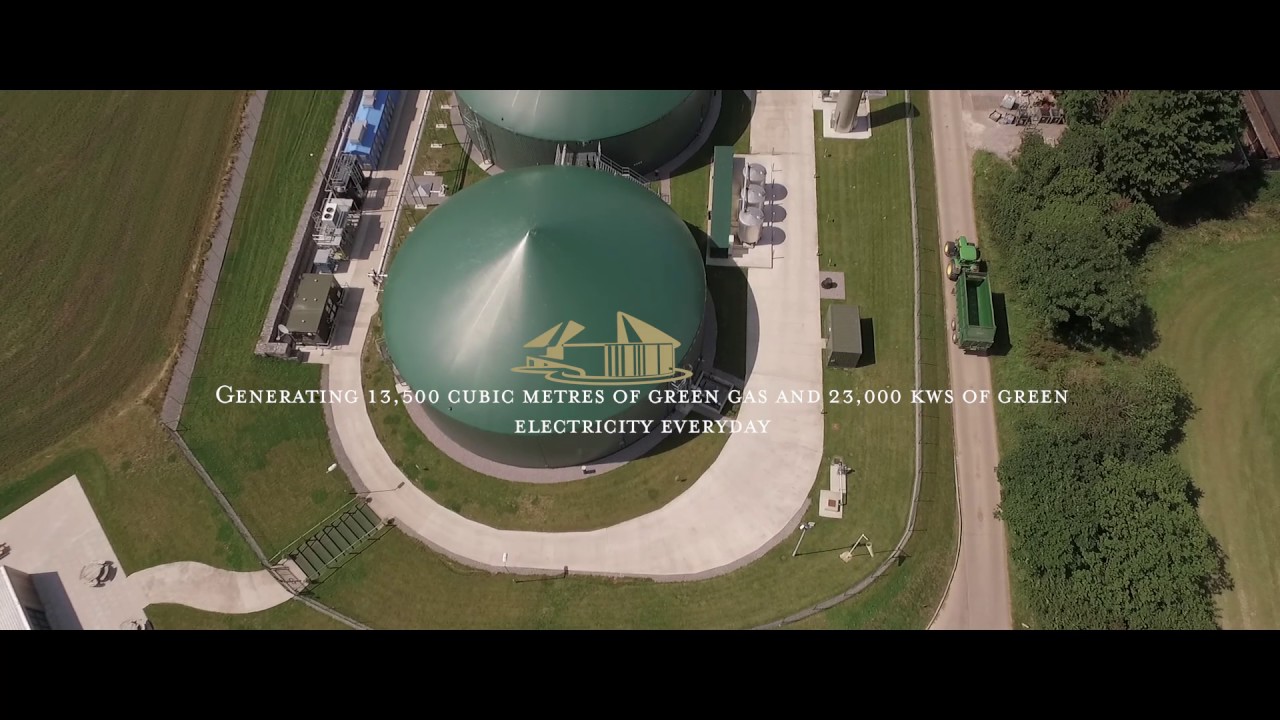 Wyke Farms 100% Green