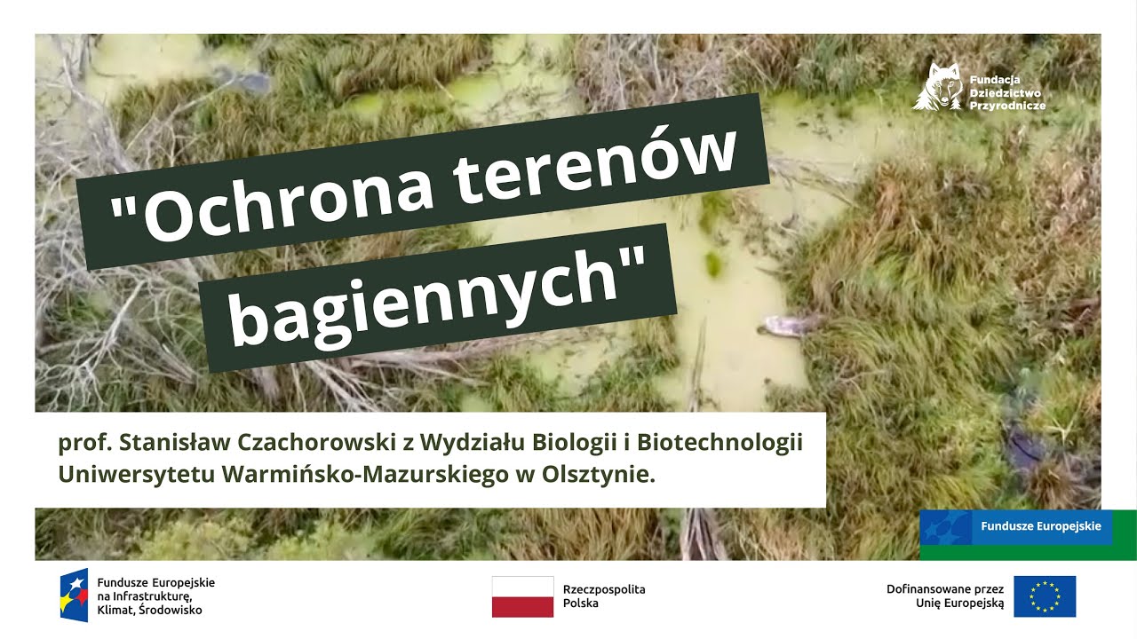 OCHRONA TERENÓW BAGIENNYCH