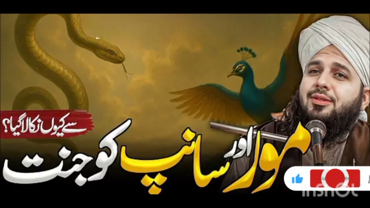 Moor aour sammp ko ko jannat sa kiyoun nikala gaya | Peer ajmal Raza qadrii 