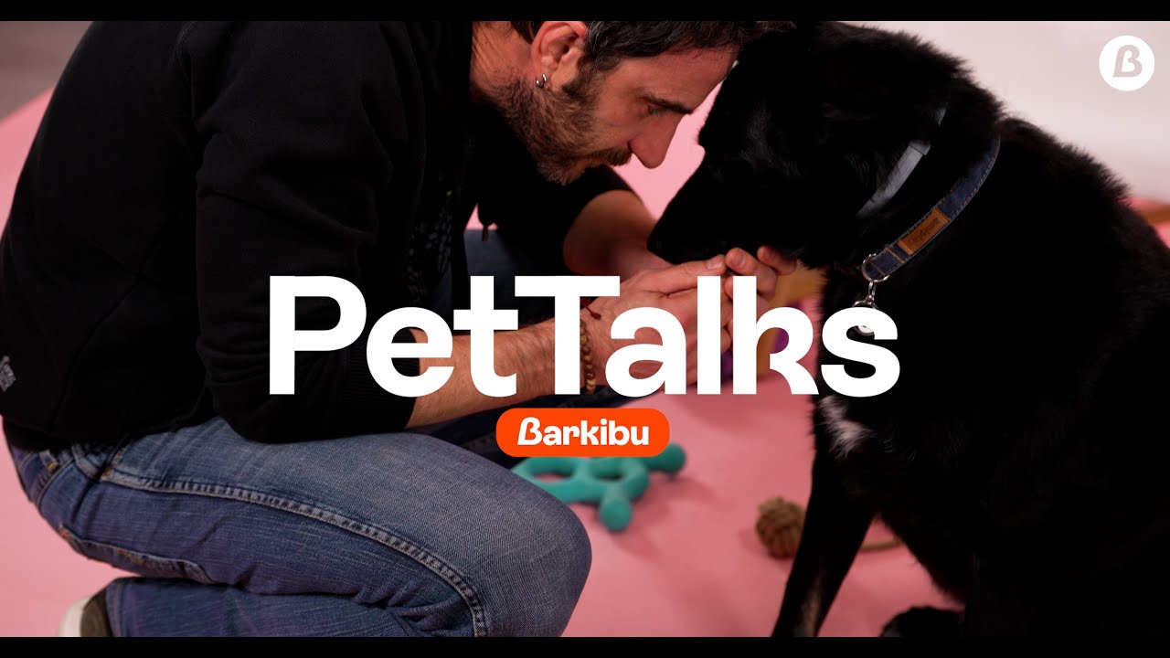 Pet Talk #9 Dani Rovira y Lobo