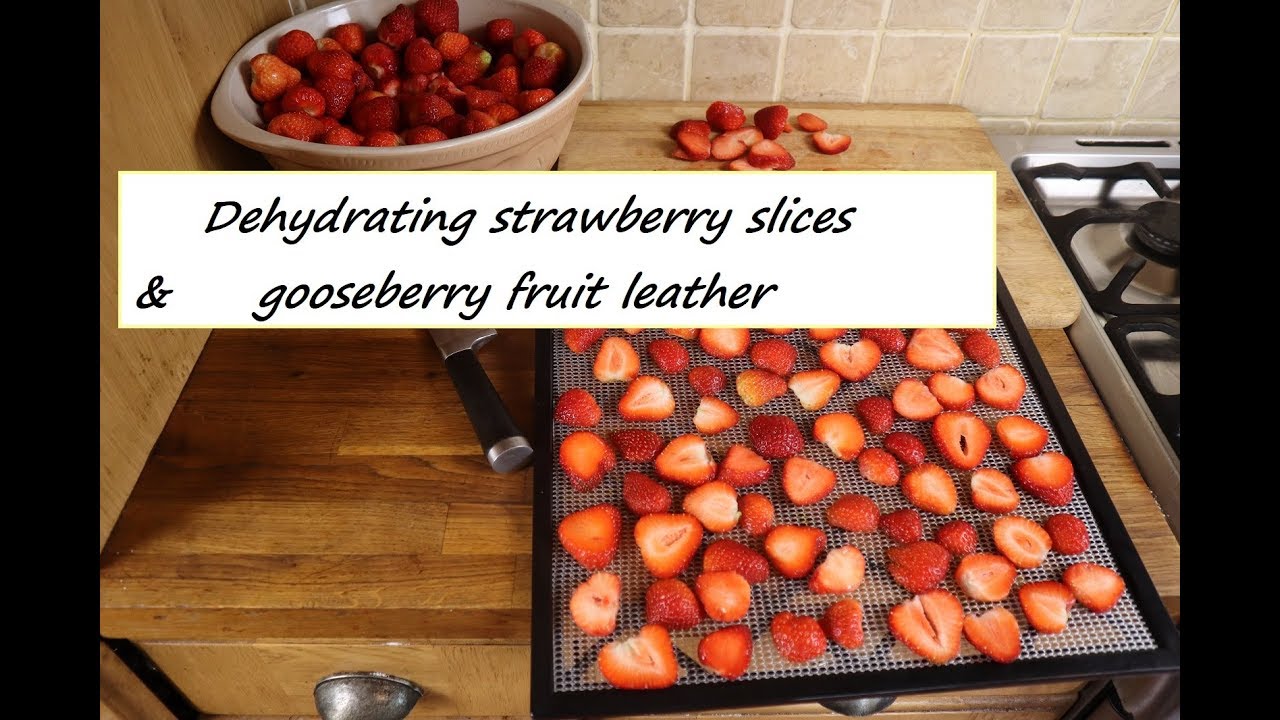 Dehydrating strawberry slices & gooseberry fruit leather