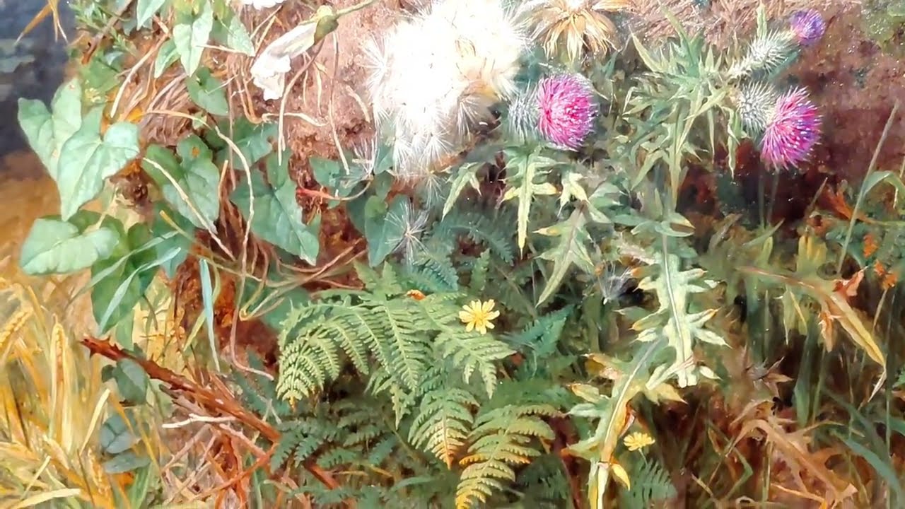 THE TATE BRITAIN Wild Flowers atthe Corner ofa Cornfield MARTHA DARLEY MUTRIE