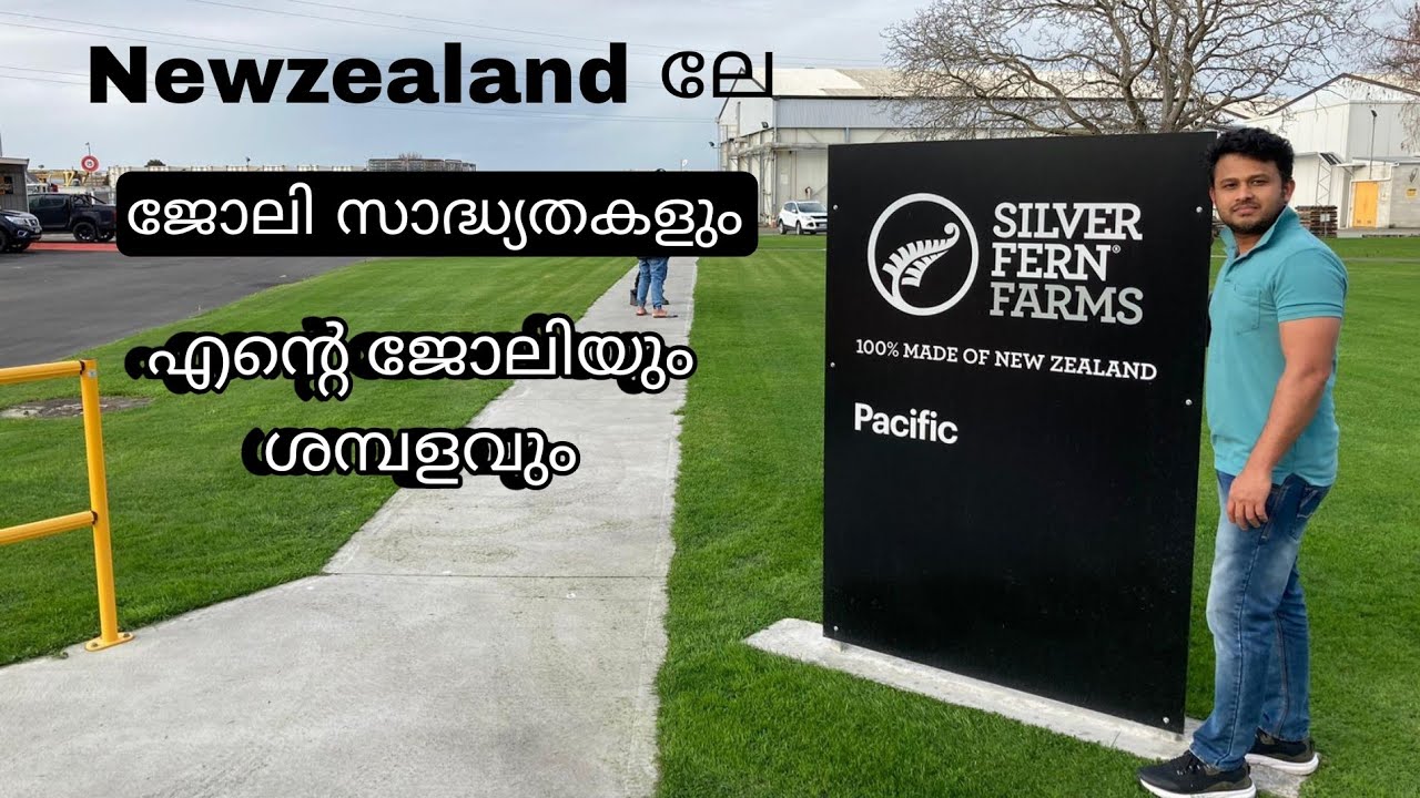 Newzealand ലേ ജോലി സാധ്യതകളും, എന്റെ ജോലിയും, ശമ്പളവും.😎😎😎