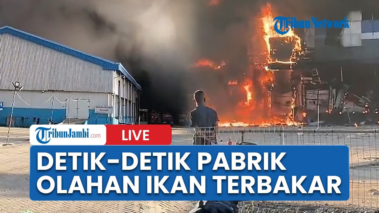 🔴70 Persen Area Pabrik Pengolahan Ikan Dua Putra Pati Terbakar, Aktivitas Produksi Terhenti