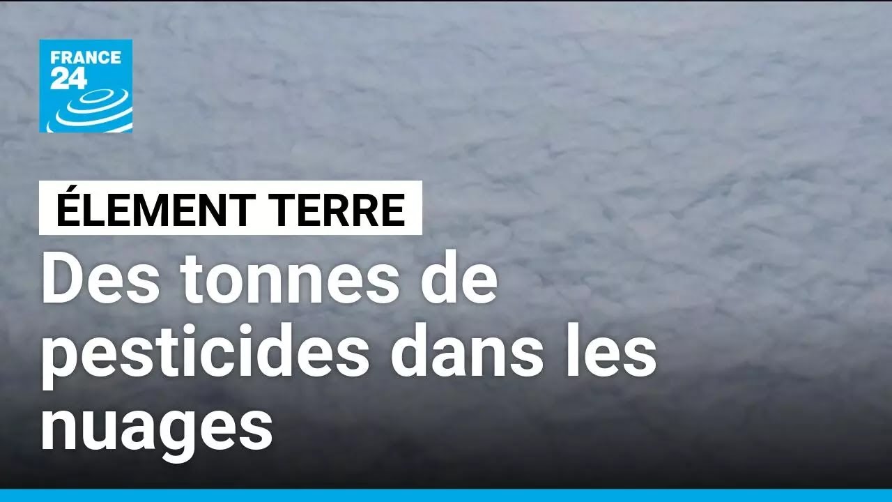 Des tonnes de pesticides présentes dans les nuages: une pollution sans frontière • FRANCE 24