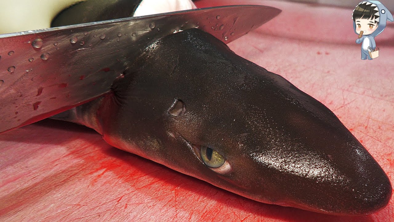 KOREAN STREET FOOD SHARK SASHIMI KOREA SEAFOOD MARKET 상어 회 포항 송도 활어회센터 201215