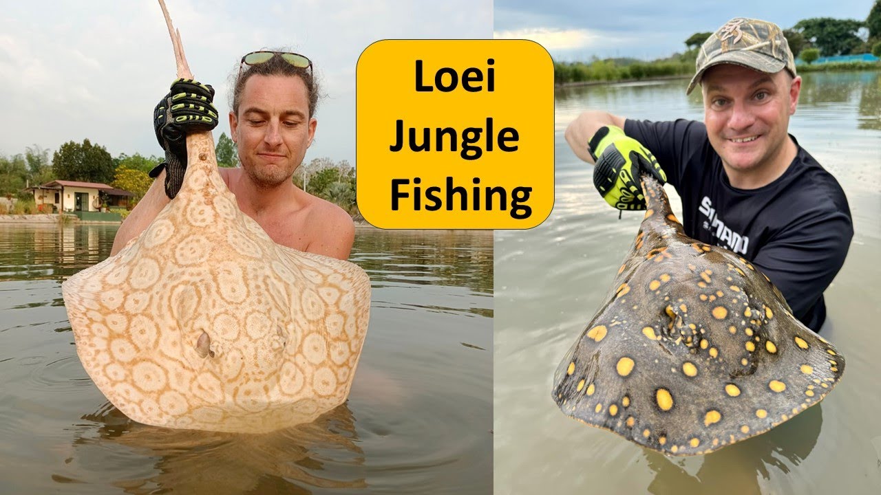 Fishing in Thailand at loei jungle fishing Lake. Chiang Khan Holiday.