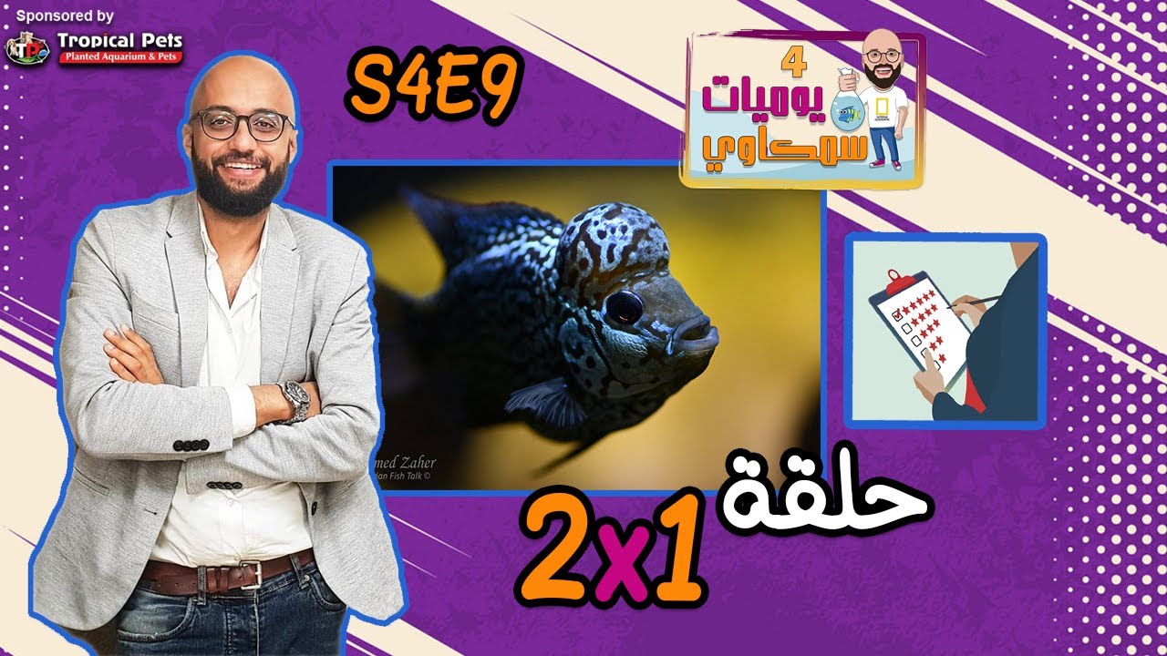 S4E9 - حلقة 2 في 1