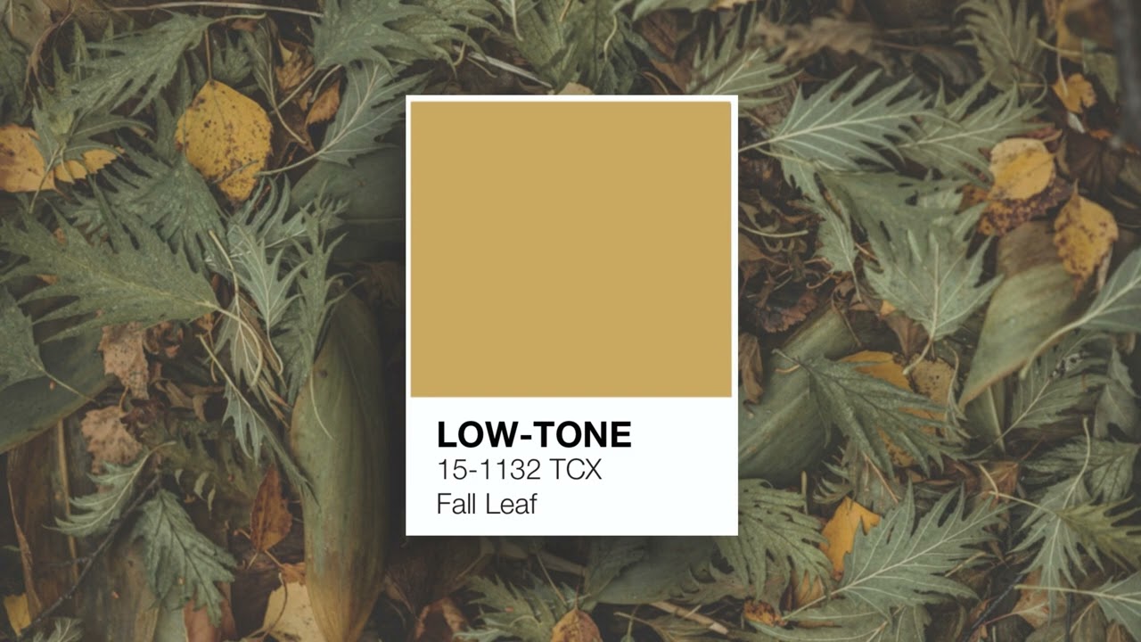 Fall leaf | Warm Lofi Beats for Cozy Autumn Days