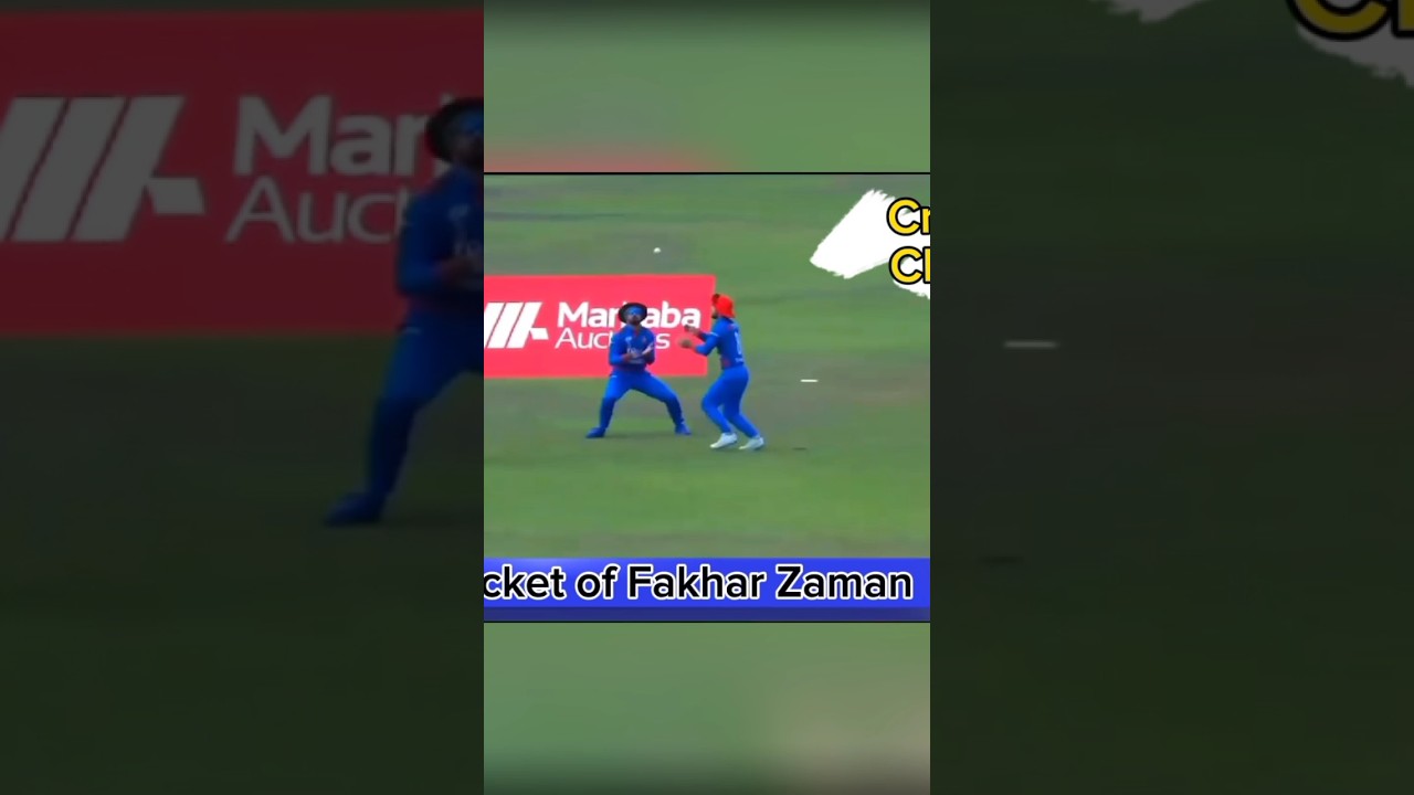 Unbelievable Catch☝#cricket #cricketshorts #pakvsafg