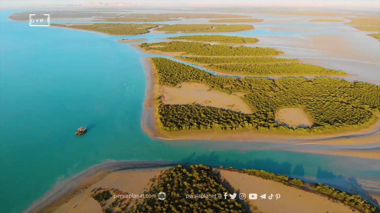 Hara forests of Qeshm, Harra, Mangrove forests of Gheshm Island, Hormozgan, جنگل حرا قشم مانگرو
