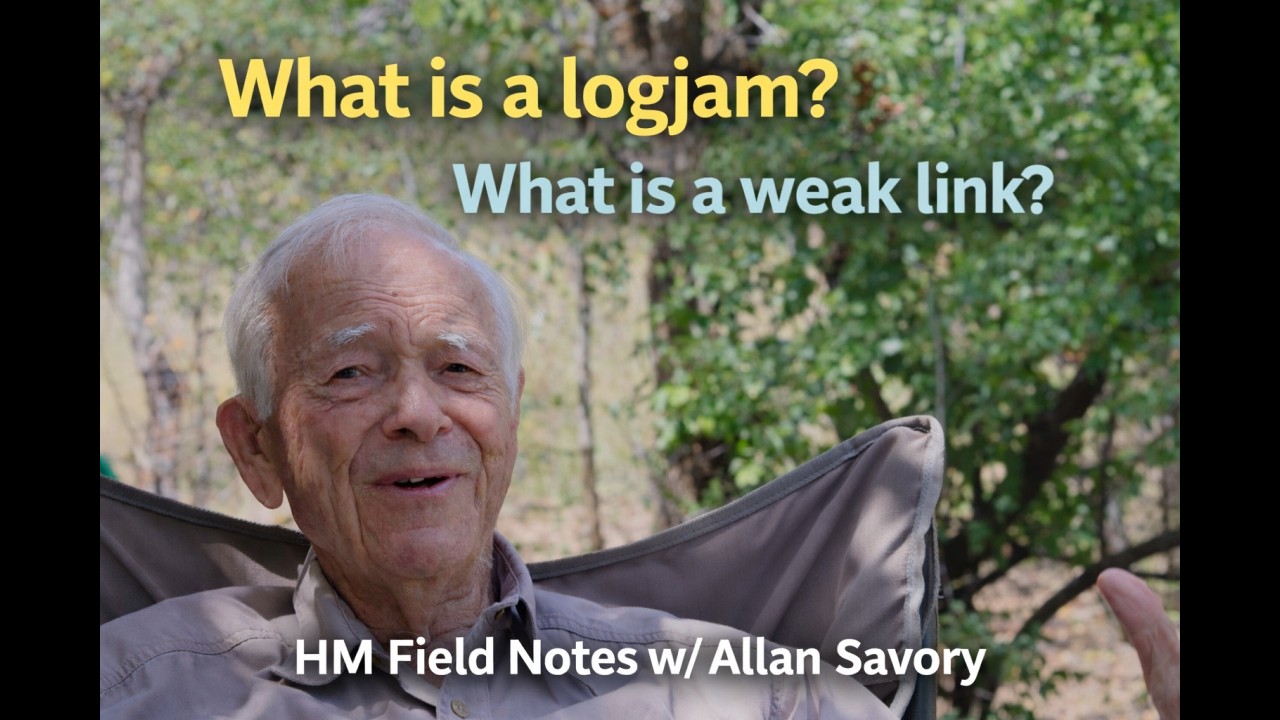 Lets ask Allan Savory: what is a logjam and a weak link in Holistic Management?