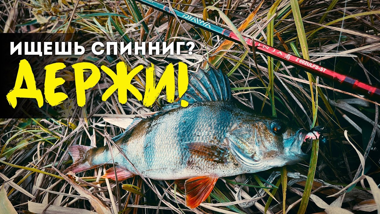 😊НЕ НУЖНО ПРЯТАТЬ от ЖЕНЫ! - Спиннинг Daiwa Ninja Z - Обзор Моего лучшего бюджетника для микроджига