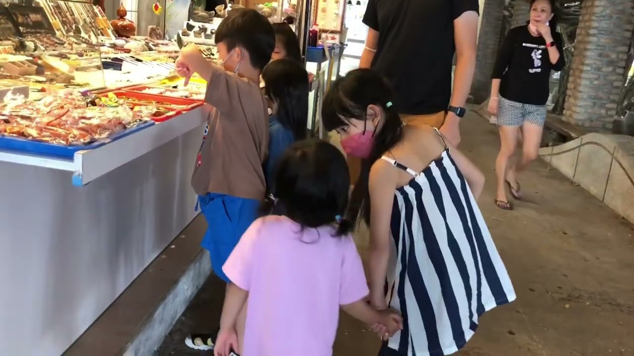 杉霏 澎湖 通樑古榕