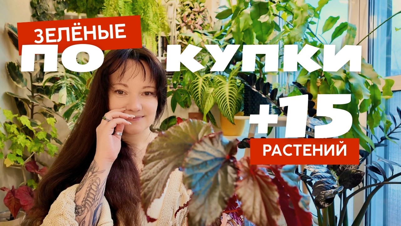 Обзор: НОВЫЕ комнатные РАСТЕНИЯ || зеленые ПОКУПКИ || Flora fest и зимние покупки