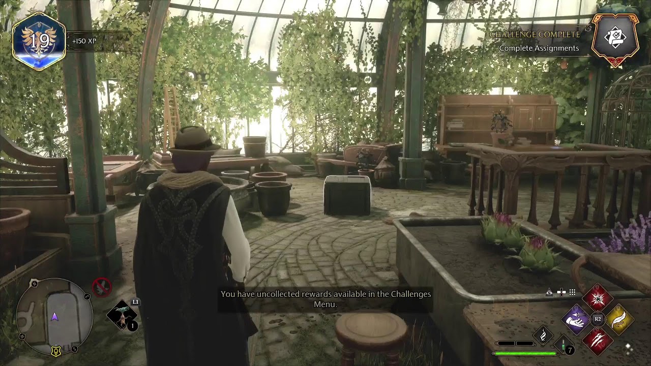 So mi was born seeing ancient magic?Hogwarts Legacy pt 3