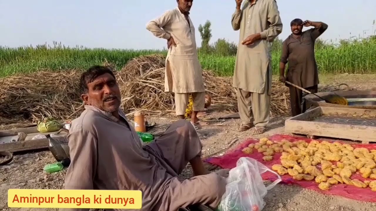 visit of chak no 90 GB satyana layyalpur |aminpur bangla ki dunya |partition1947|जालंधर इंडिया शुगर|