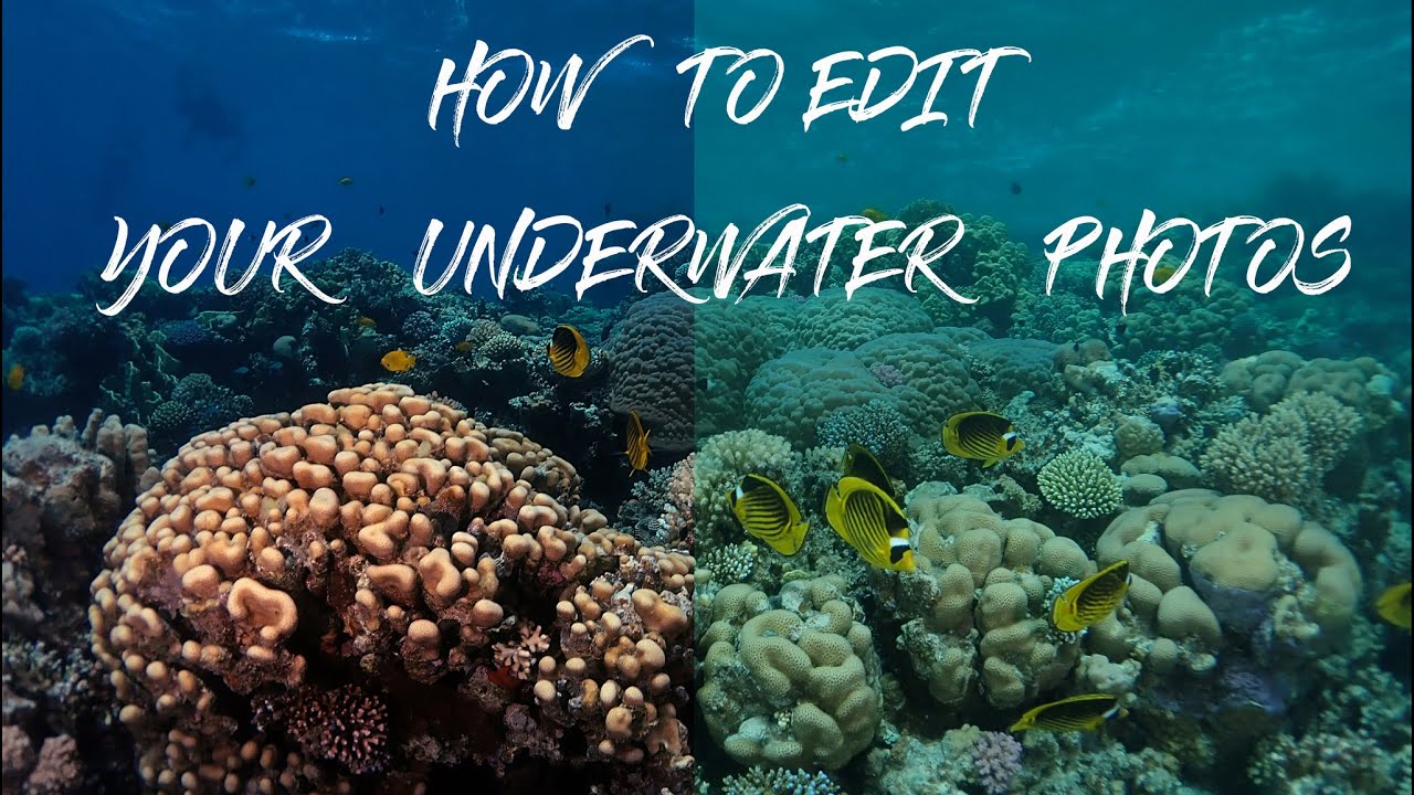 How to edit your underwater photos