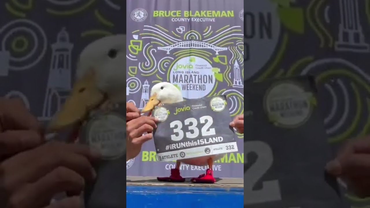 Duck Wins Marathon 🦆🥇