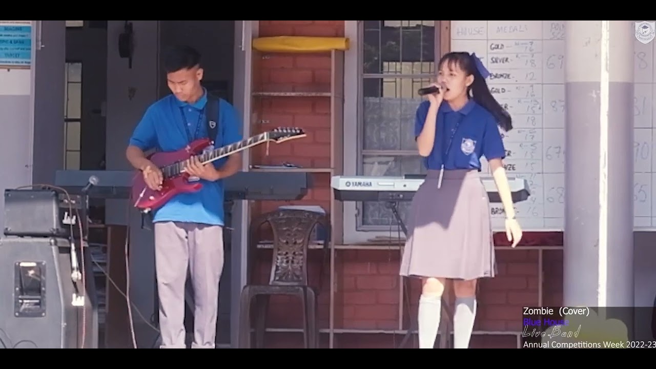 Zombie (cover) - Blue House