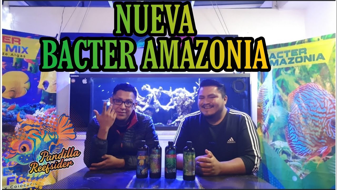 LA MEJOR BACTERIA PARA ACUARIO DE AGUA DULCE O TROPICAL (BACTER AMAZONIA)