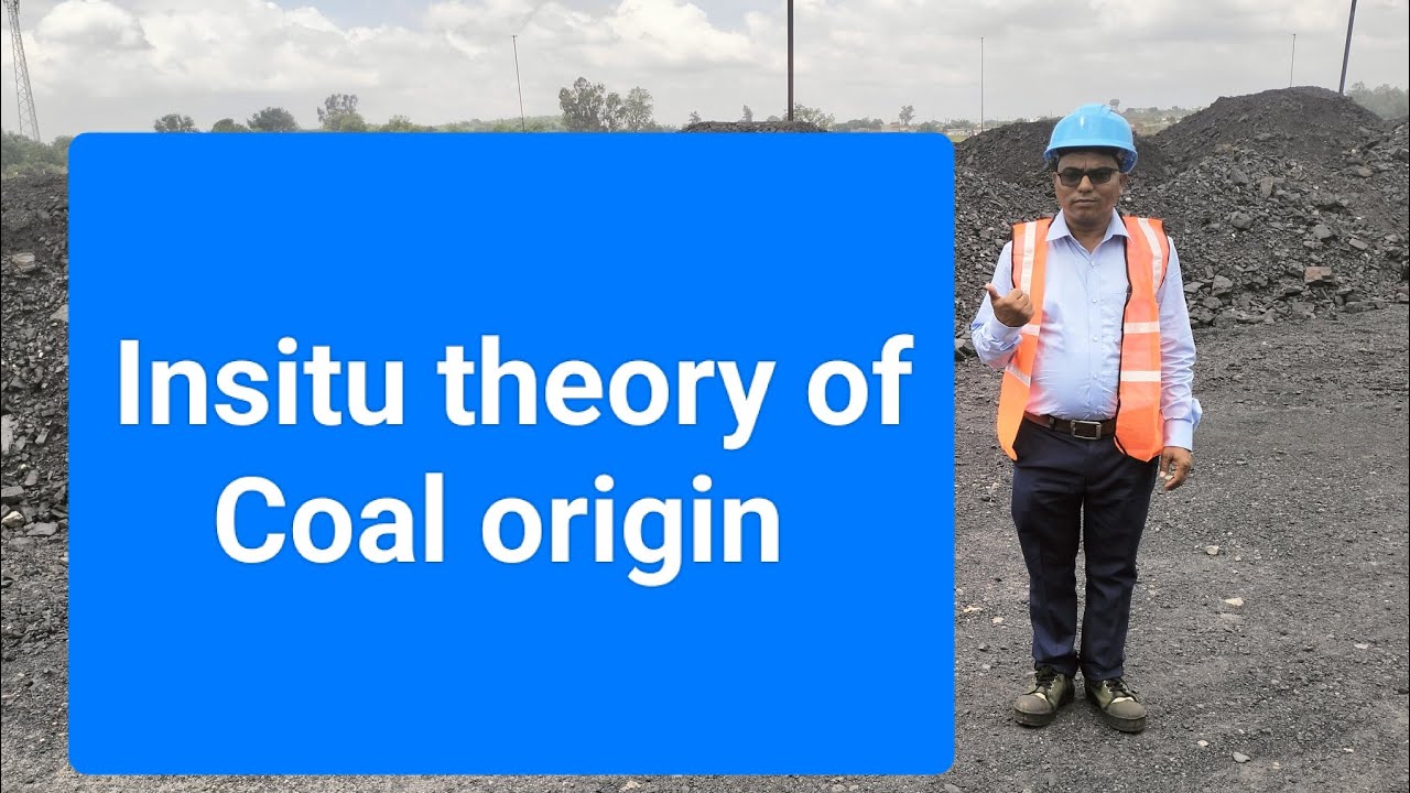 insitu theory of Coal origin / formation