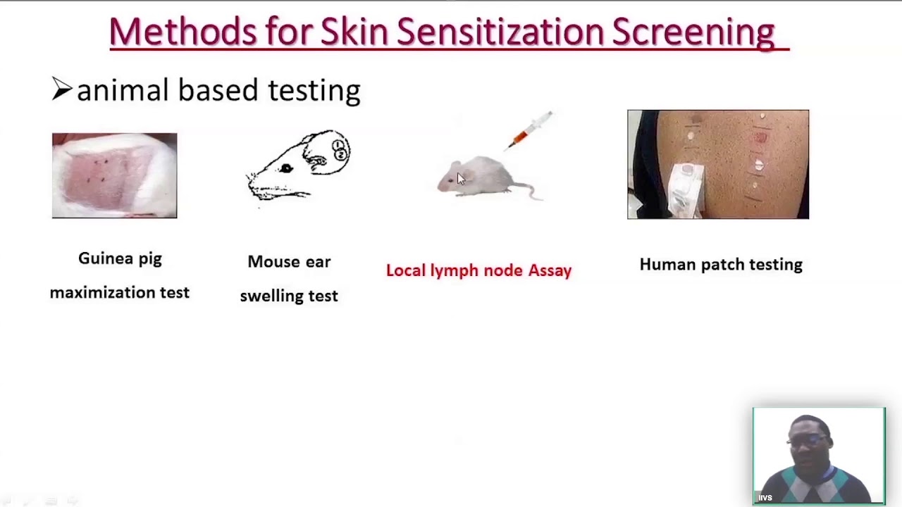 Integrated Testing Strategies for Assessing the Skin Sensitization Potential of Chemicals