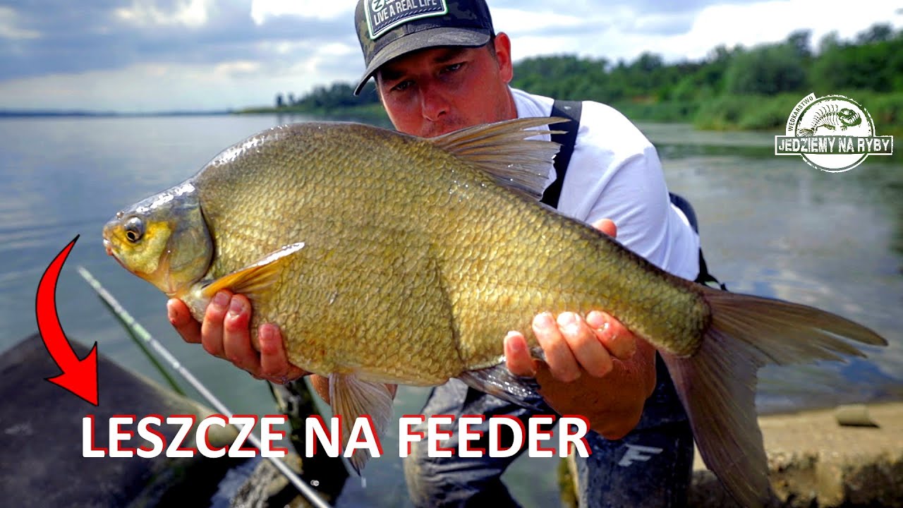 LESZCZE na FEEDER - CHCIAŁY GRUBO