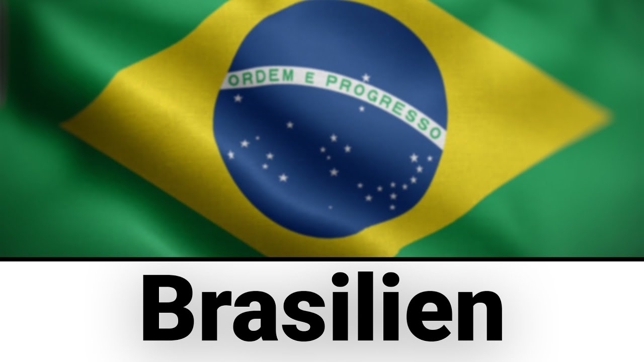 Brasilien - Wirtschaft und Politik!