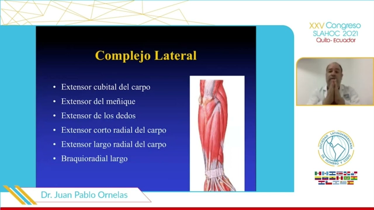 Patología ecográfica de codo. Dr. Juan Pablo Ornelas