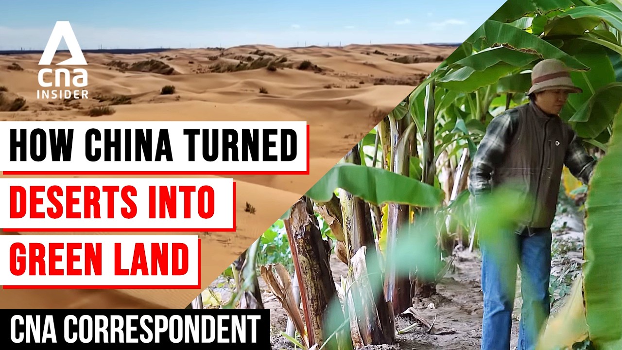 How China Reclaimed Inner Mongolia's Deserts: From Sand Dunes To Green Oases | CNA Correspondent