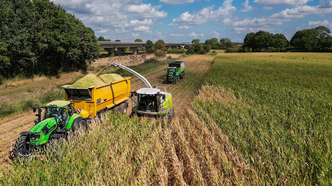 Mais 2025 / Claas Jaguar 850 + 5x Deutz / Vecunda / Maize silage