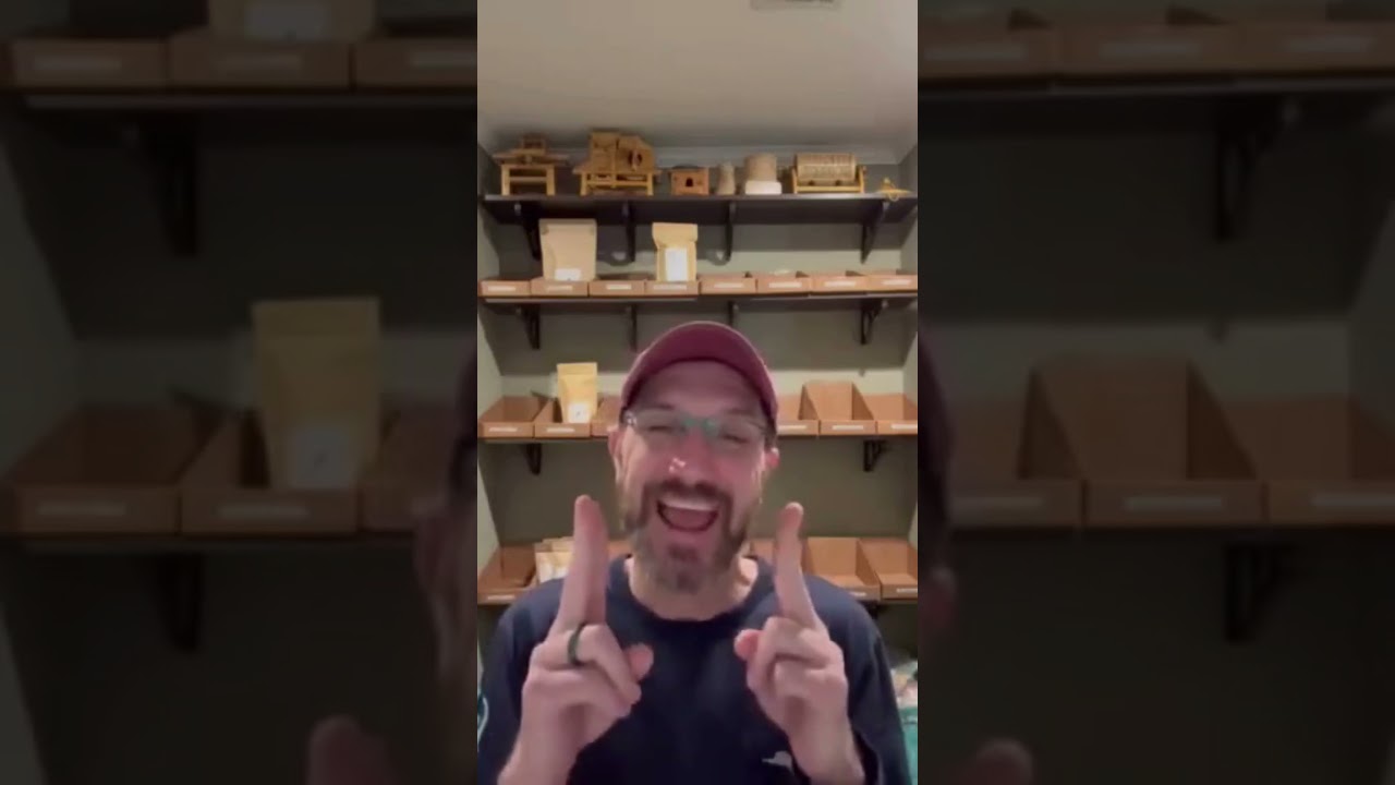 Talking about our tea seeds - Part 1