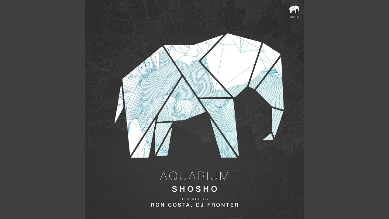 Aquarium (Ron Costa Remix)