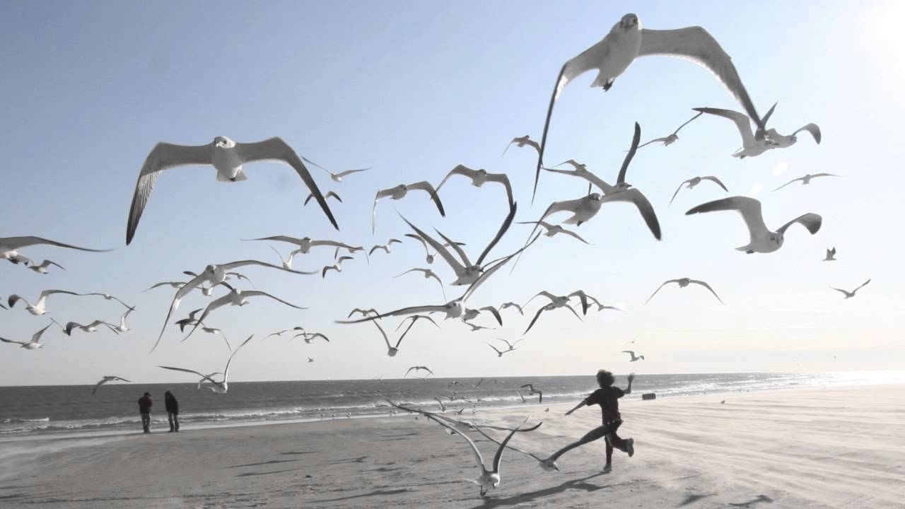Passenger - Feather On The Clyde (Stefan Biniak Private Edit)